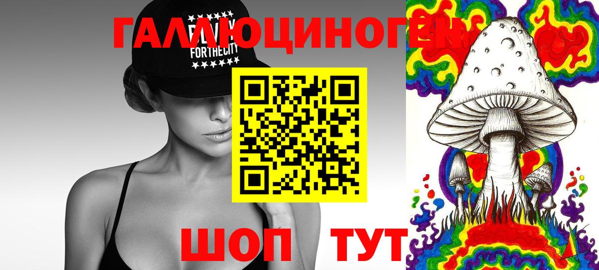 Галлюциногенные грибы Psilocybine cubensis Вичуга