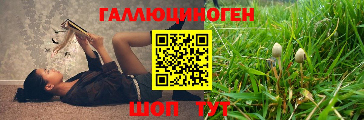 Галлюциногенные грибы MAGIC MUSHROOMS  Псилоцибиновые грибы Cubensis  Вичуга  Вход с VPN 